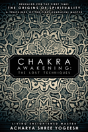 Chakra Awakening: The Lost Techniques - Preview