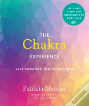 Capa do artigo Chakra Experience