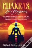 Chakra For Beginners
