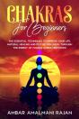 Chakra For Beginners - Preview