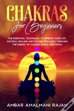Capa do artigo Chakra For Beginners
