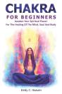 Chakra For Beginners - Preview
