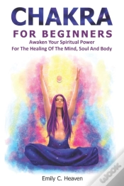 Capa do artigo Chakra For Beginners