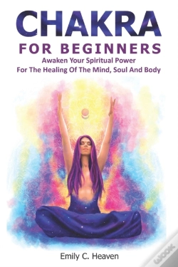 Capa do artigo Chakra For Beginners