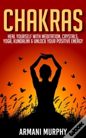 Capa do artigo Chakras