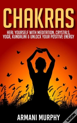 Capa do artigo Chakras