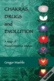 Capa do artigo Chakras, Drugs And Evolution
