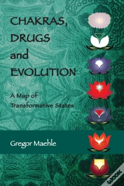 Capa do artigo Chakras, Drugs And Evolution