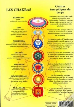 Capa do artigo Chakras Fond Jaune - Pl. 17x24 (Par 5)