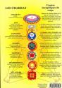 Chakras Fond Jaune - Pl. 17x24 (Par 5) - Preview