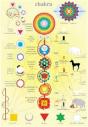 Chakras Fond Jaune - Poster Plastifie - Preview