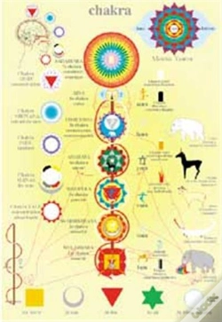 Capa do artigo Chakras Fond Jaune - Poster Plastifie
