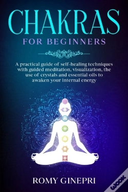 Capa do artigo Chakras For Beginners