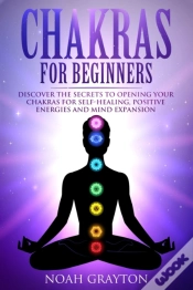 Capa do artigo Chakras For Beginners
