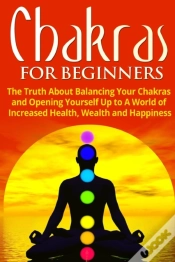 Capa do artigo Chakras For Beginners