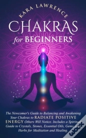 Capa do artigo Chakras For Beginners