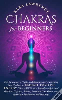 Capa do artigo Chakras For Beginners