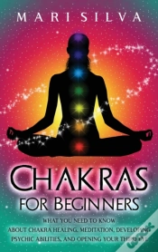 Capa do artigo Chakras For Beginners