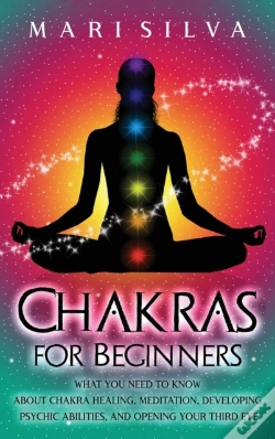 Capa do artigo Chakras For Beginners