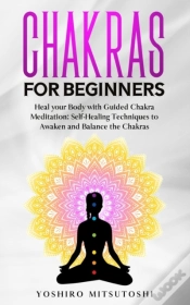 Capa do artigo Chakras For Beginners