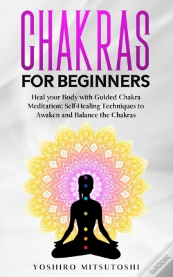 Capa do artigo Chakras For Beginners