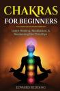 Chakras For Beginners - Preview
