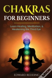 Capa do artigo Chakras For Beginners