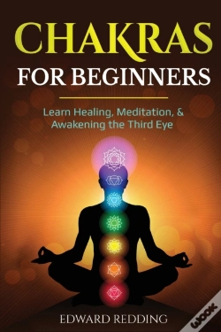 Capa do artigo Chakras For Beginners