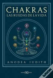 Capa do artigo Chakras, Las Ruedas De La Vida
