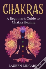 Capa do artigo Chakras