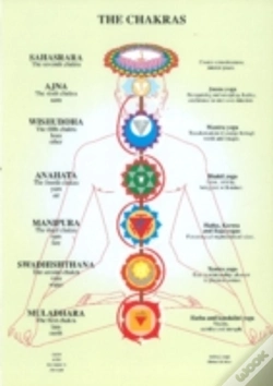 Capa do artigo Chakras