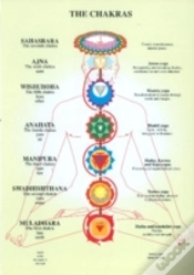 Capa do artigo Chakras
