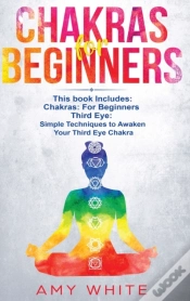 Capa do artigo Chakras