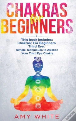 Capa do artigo Chakras