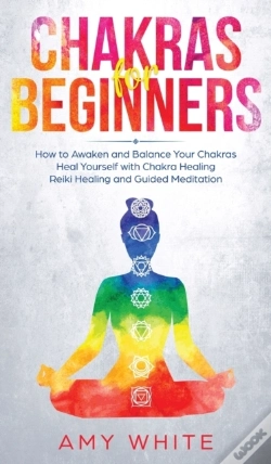 Capa do artigo Chakras