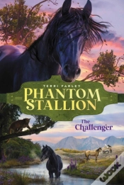 Capa do artigo Challenger