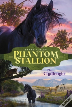Capa do artigo Challenger