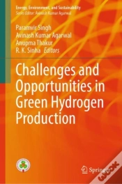 Capa do artigo Challenges And Opportunities In Green Hydrogen Production
