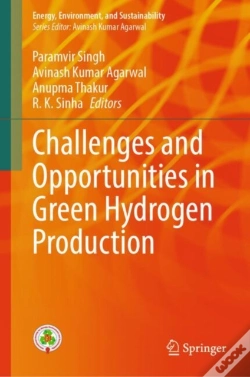 Capa do artigo Challenges And Opportunities In Green Hydrogen Production