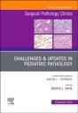 Challenges & Updates In Pediatric Pathology, An Issue Of Surgical Pathology Clinics - Preview