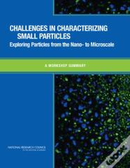 Challenges In Characterizing Small Particles