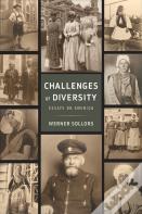 Challenges Of Diversity