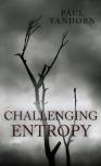 Challenging Entropy