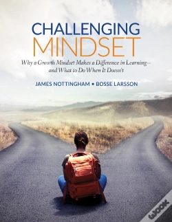 Capa do artigo Challenging Mindset