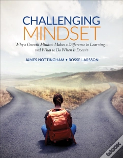 Capa do artigo Challenging Mindset