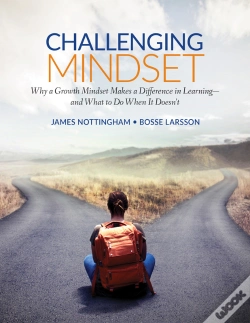 Capa do artigo Challenging Mindset