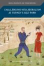 Challenging Neoliberalism At Turkey'S Gezi Park - Preview