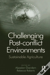 Capa do artigo Challenging Post-Conflict Environments