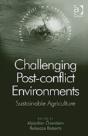 Challenging Post-Conflict Environments - Preview