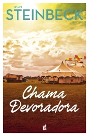 Capa do artigo Chama Devoradora